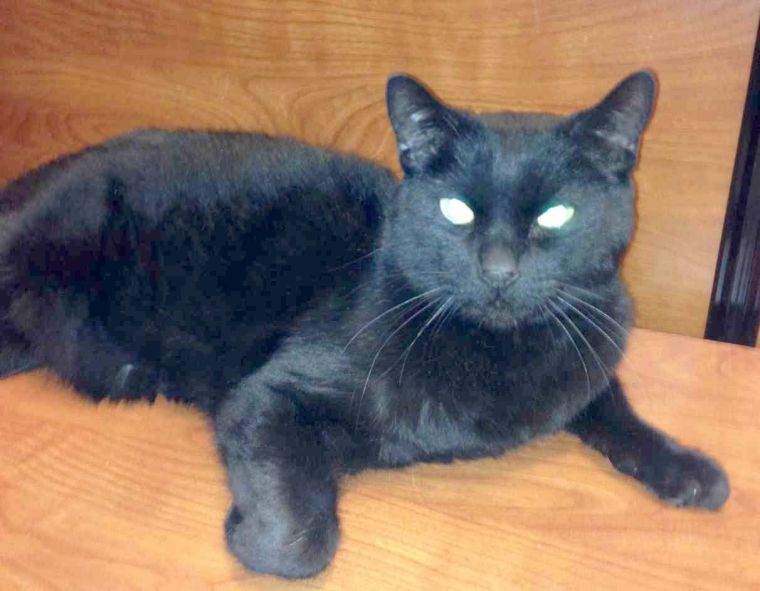 Someone to love: Jack